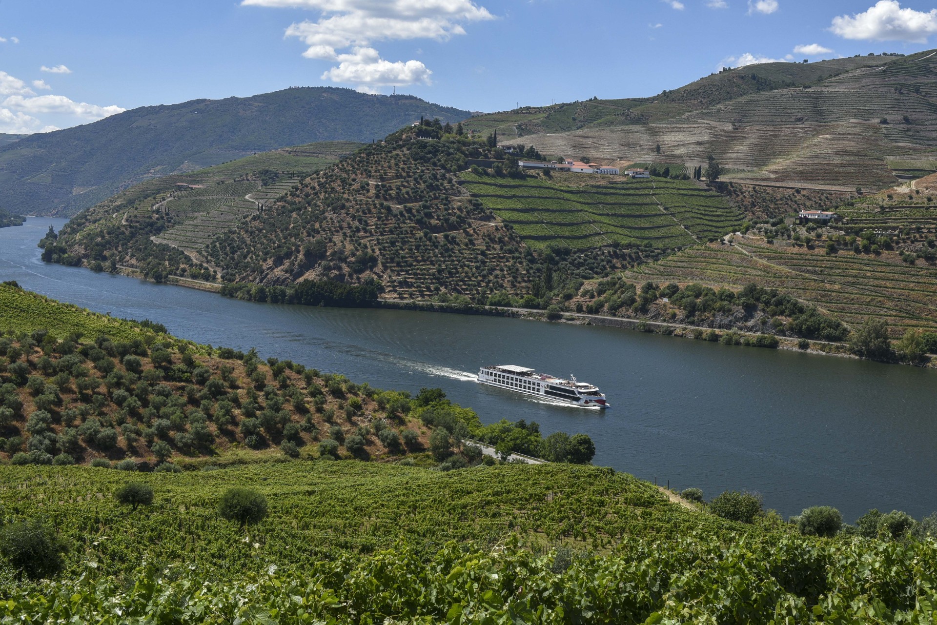 Navio de cruzeiro fluvial a navegar no rio Douro, entre encostas com vinhas em socalcos e oliveiras, sob céu azul com nuvens.
